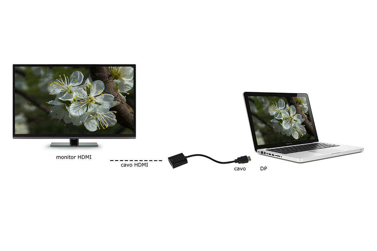 Link Accessori LKADAT20 cavo e adattatore video 0,15 m DisplayPort HDMI Nero