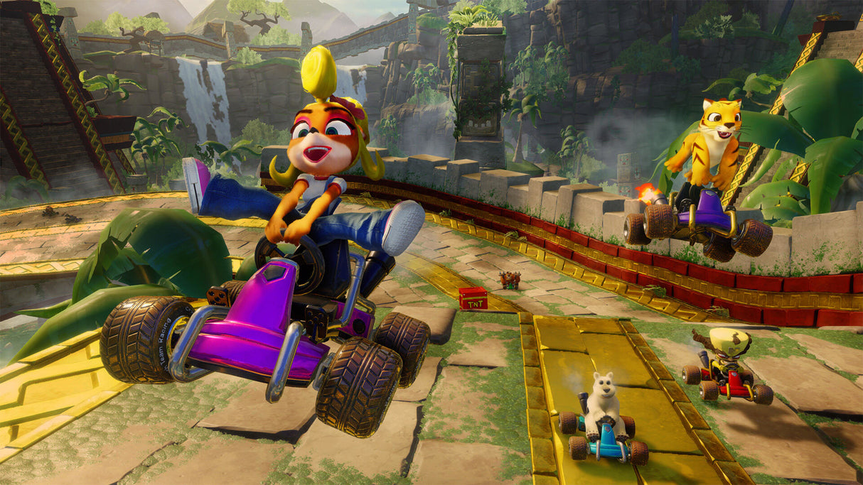 Activision Crash Team Racing Nitro-Fueled Standard Nintendo Switch