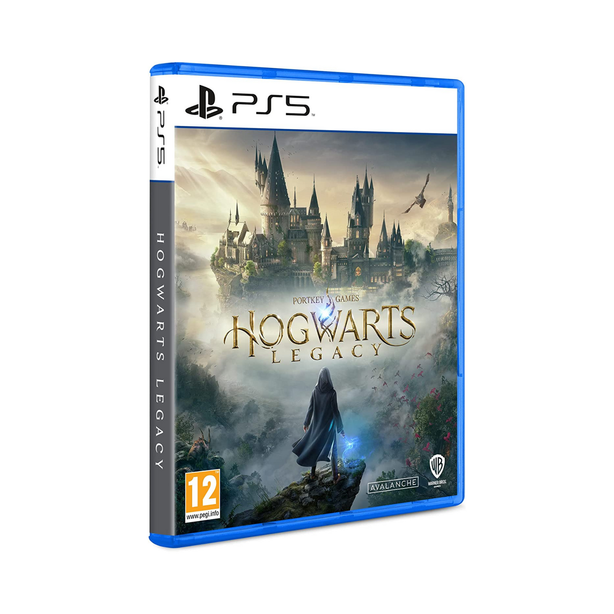 Warner Bros Hogwarts Legacy Standard PlayStation 5