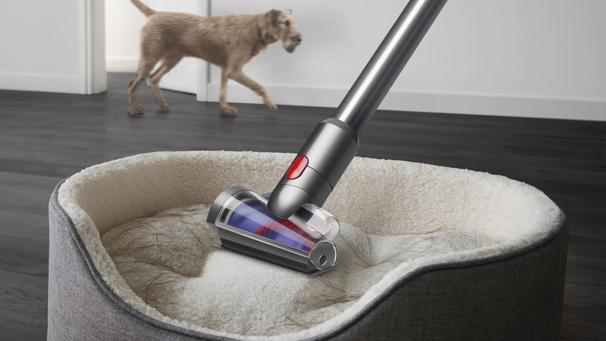 Dyson Aspirapolvere V12 Detect Absolute