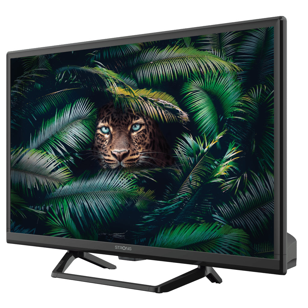 Strong SRT 24HE4023C 61 cm (24") HD Nero 180 cd/m²