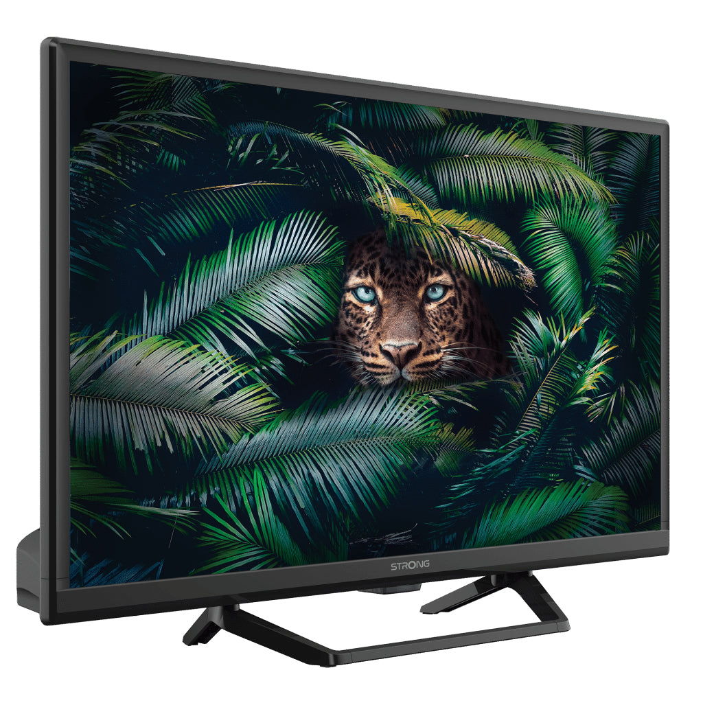 Strong SRT 24HE4023C 61 cm (24") HD Nero 180 cd/m²