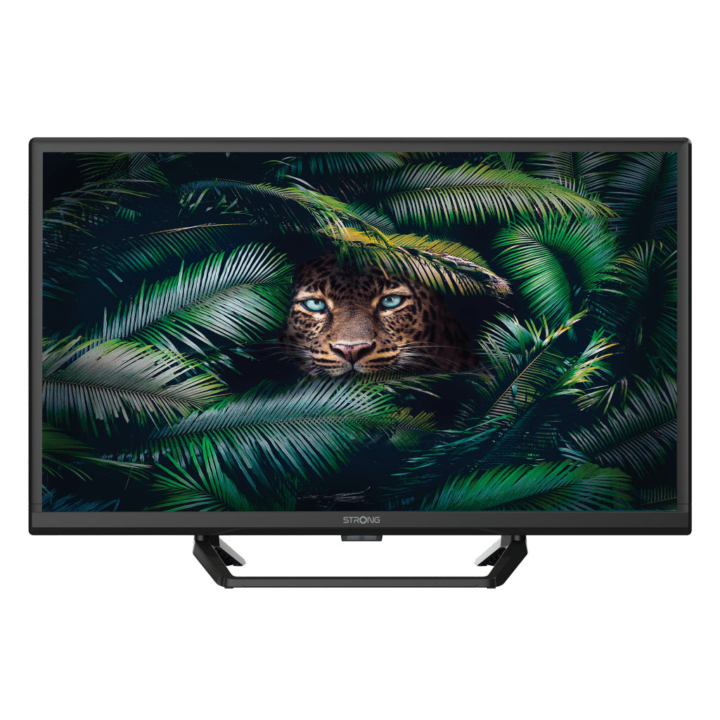 Strong SRT 24HE4023C 61 cm (24") HD Nero 180 cd/m²